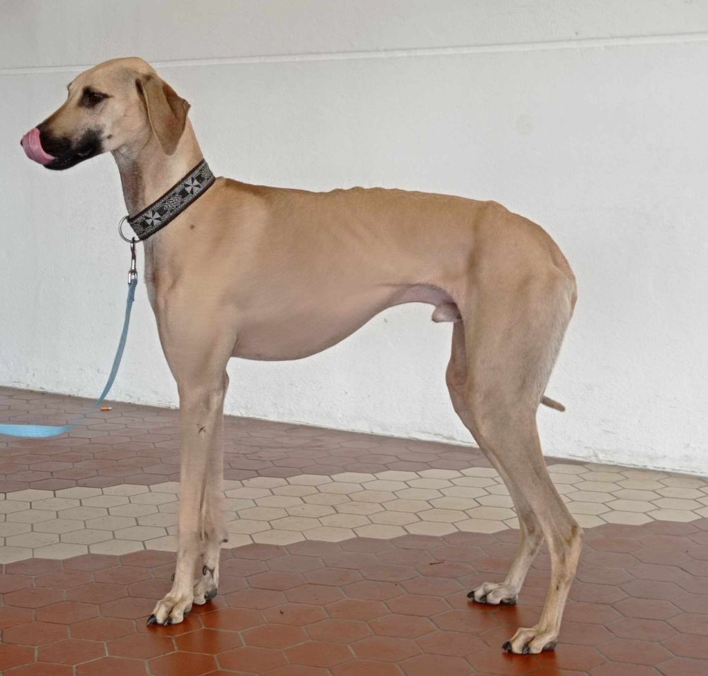 T'anout D'Imi-N-Tanout