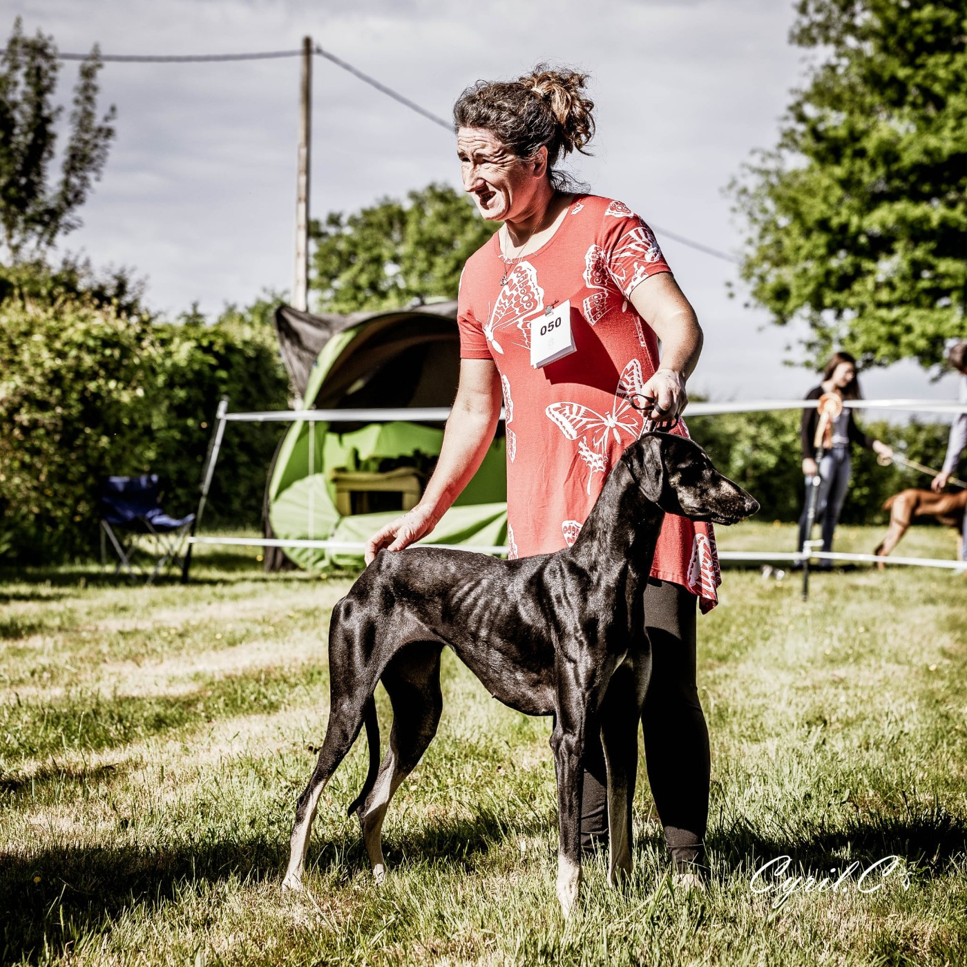 Amissah Origen charm